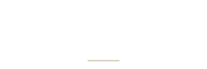 mikkelsen mind logo (1)